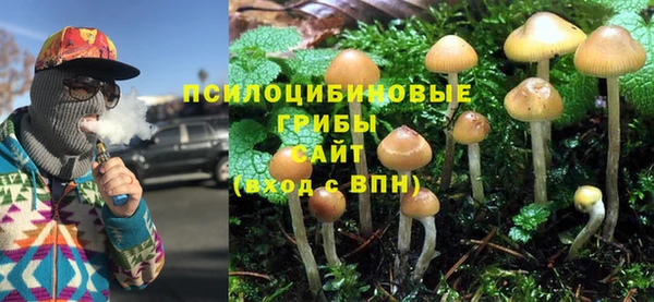 соль ск Зерноград