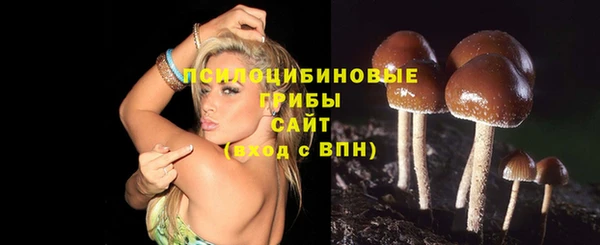 соль ск Зерноград
